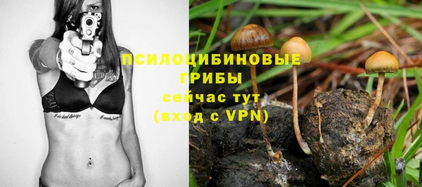 гидропоника Абинск