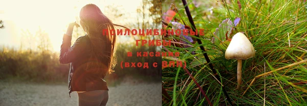 дурь Абаза